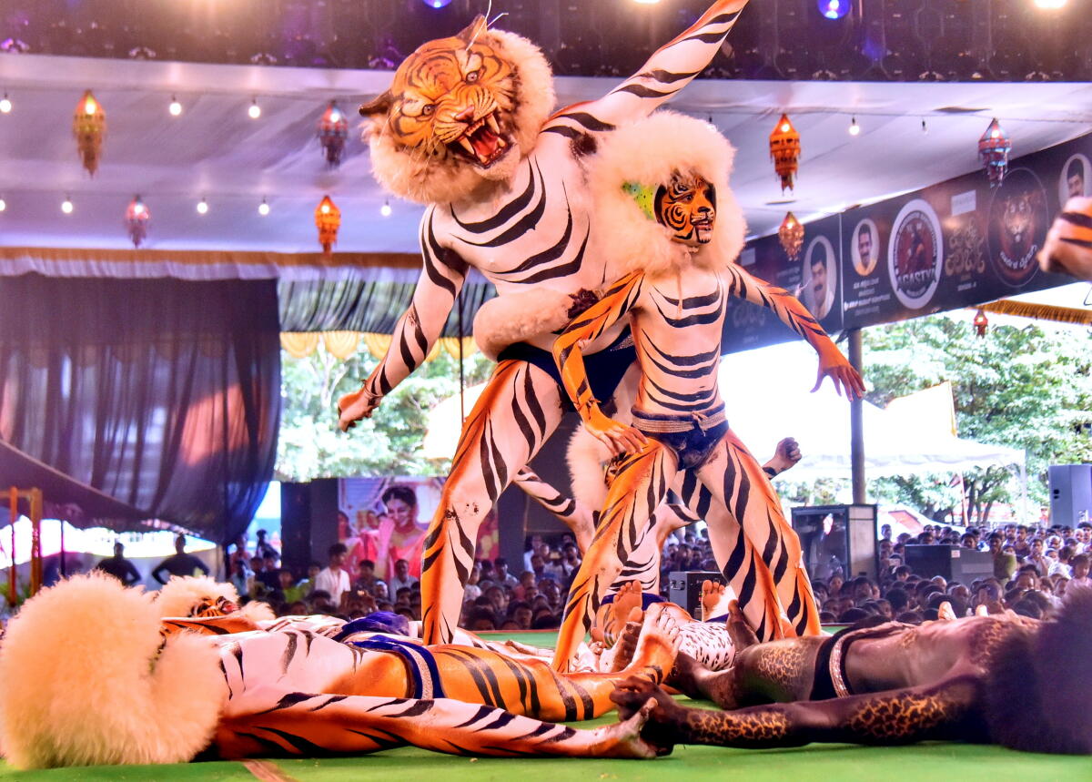 Artists take part in ‘Kudla Pili Parba’ (tiger costume dance competition) ahead of the 'Dasara' festival, in Mangalore