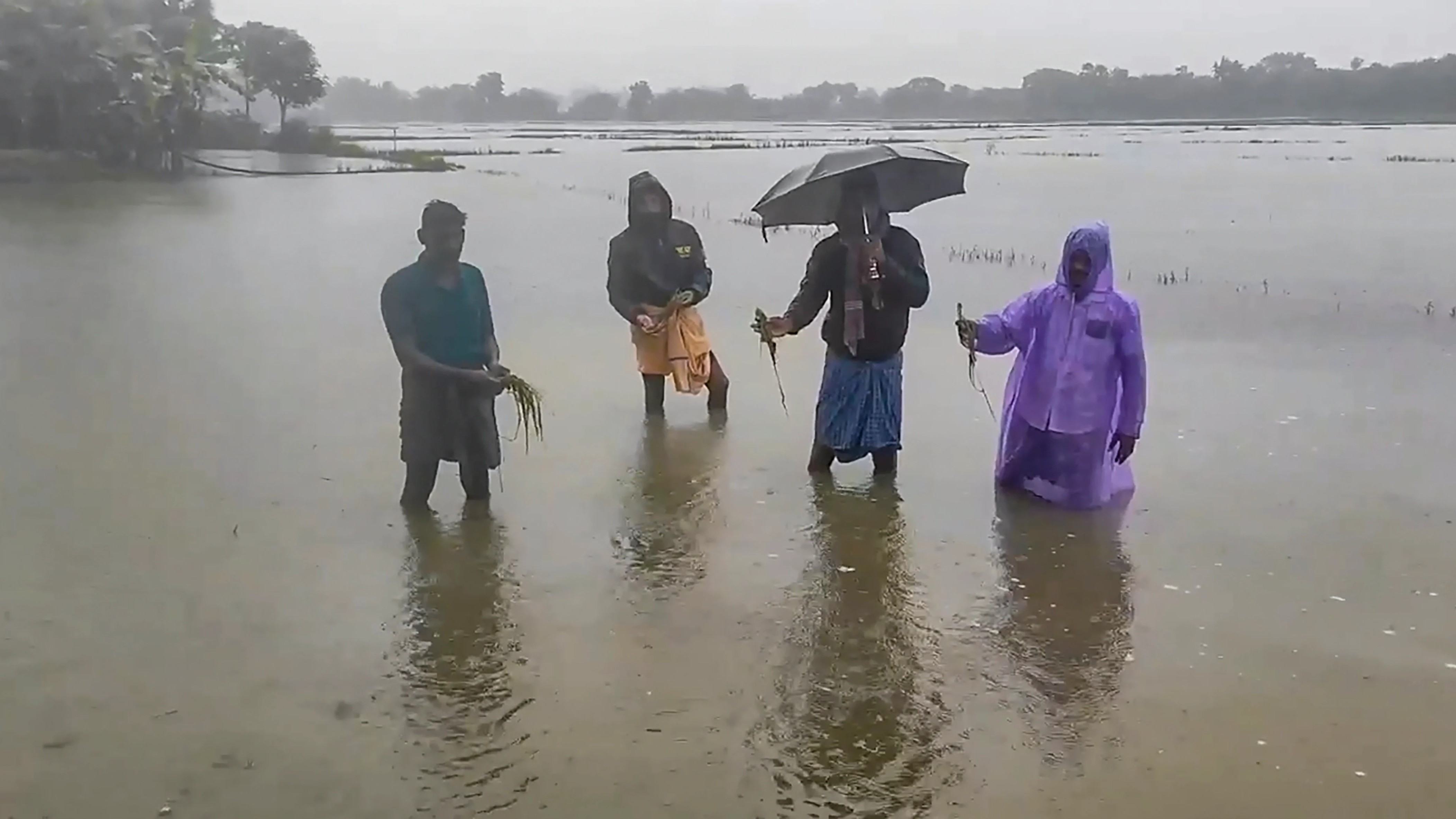 IMD issues red alert for 7 districts as heavy rain lash Odisha, deep depression moves towards coast