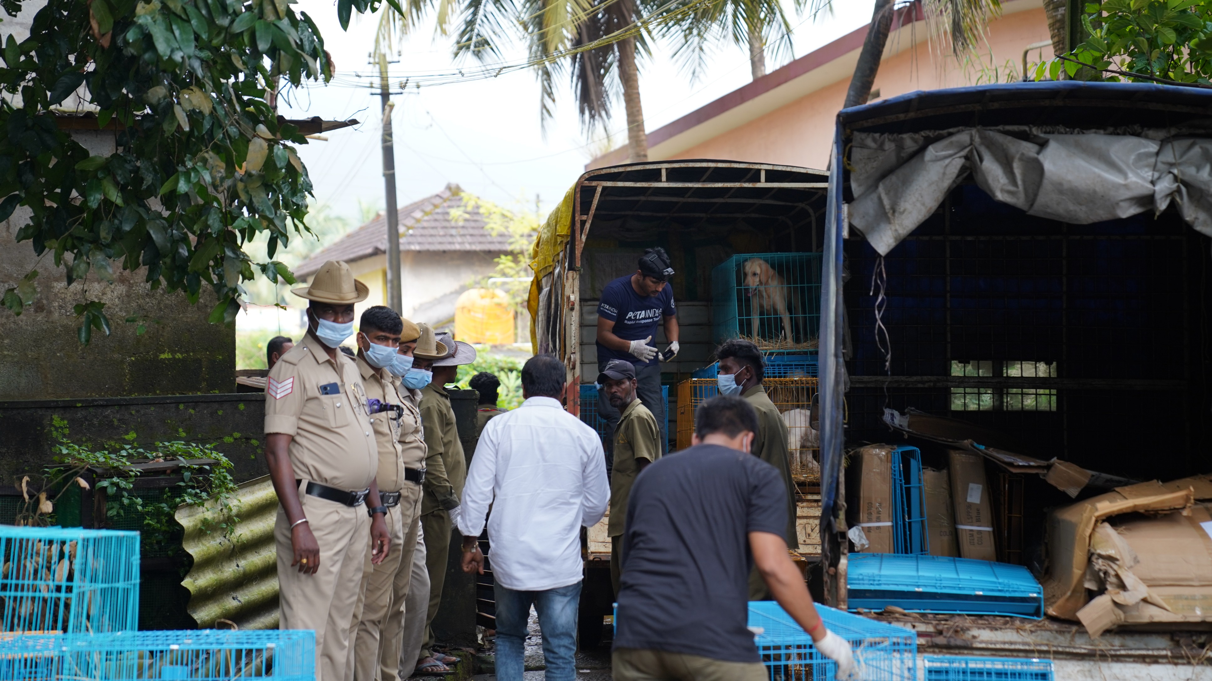 100 animals saved during raid on illegal rescue centre in Udupi