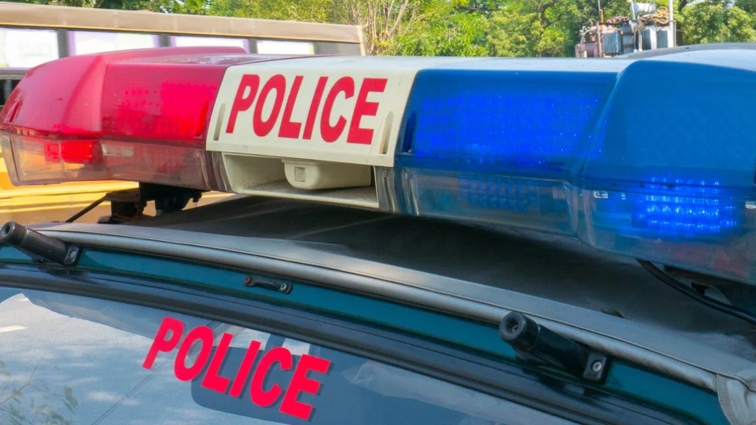 Madikeri Dasara: DySP among two policemen injured in assault