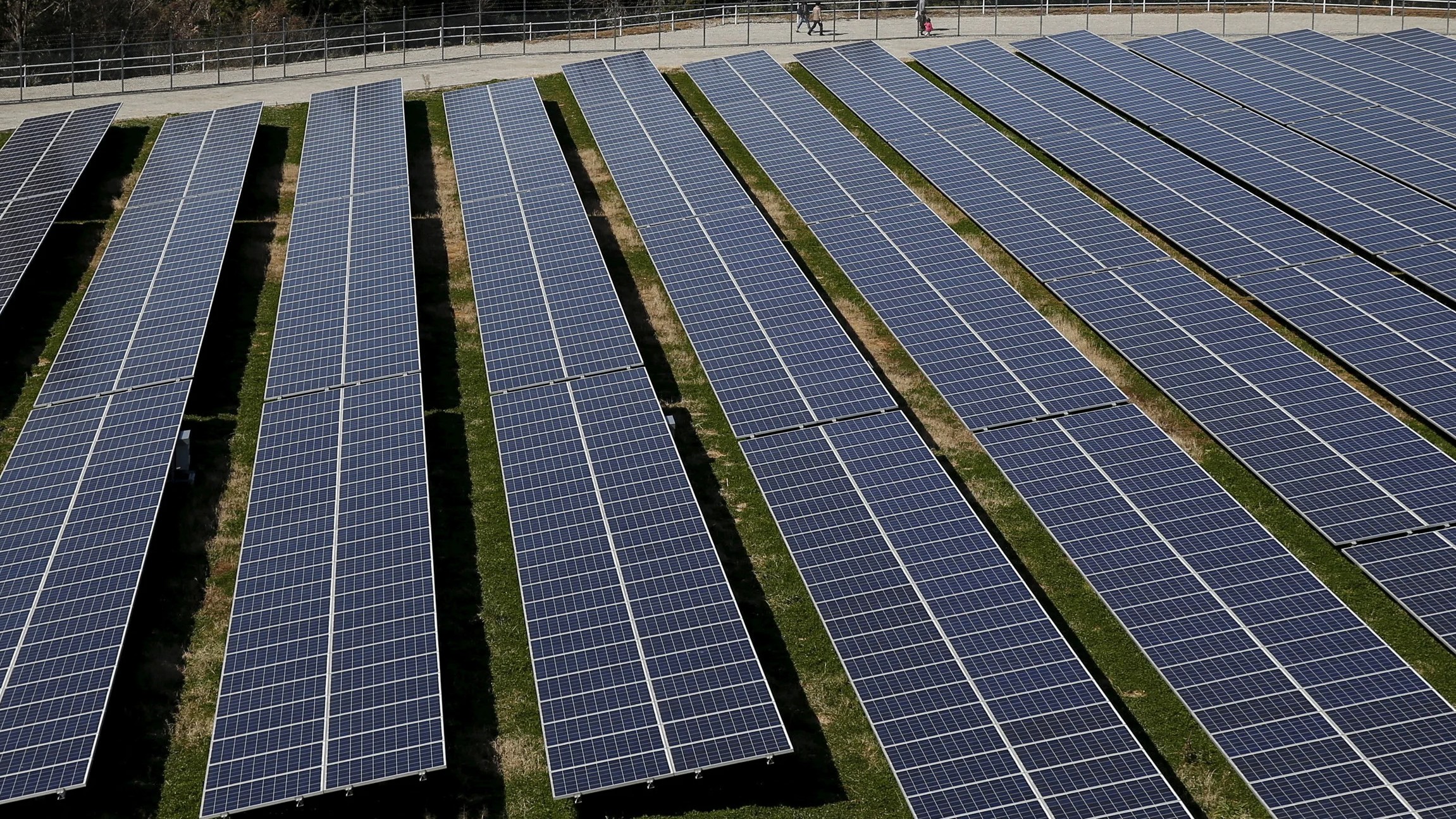 India on track to meet target 500 GW renewable energy by 2030: Pralhad Joshi 