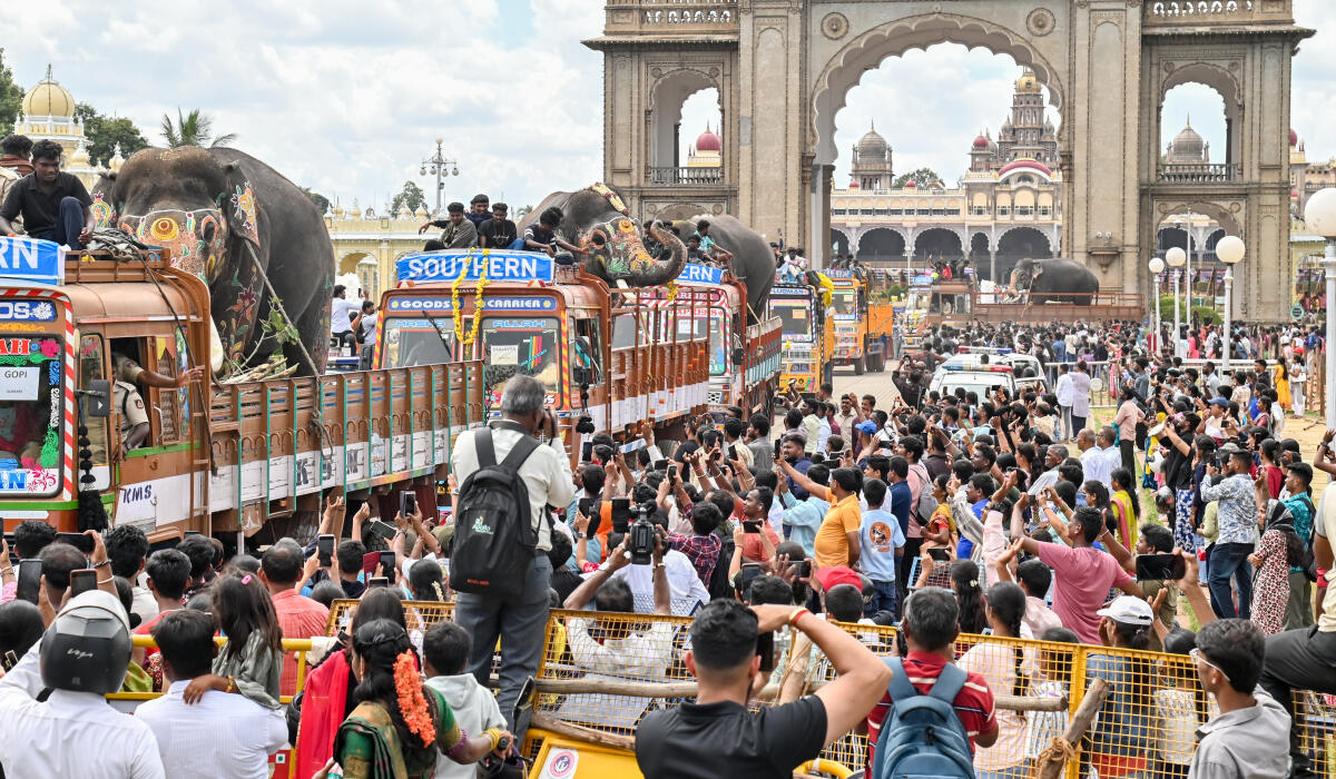 Dasara Elephants leave Palace premises in lorries, towards their respective forest camps. 