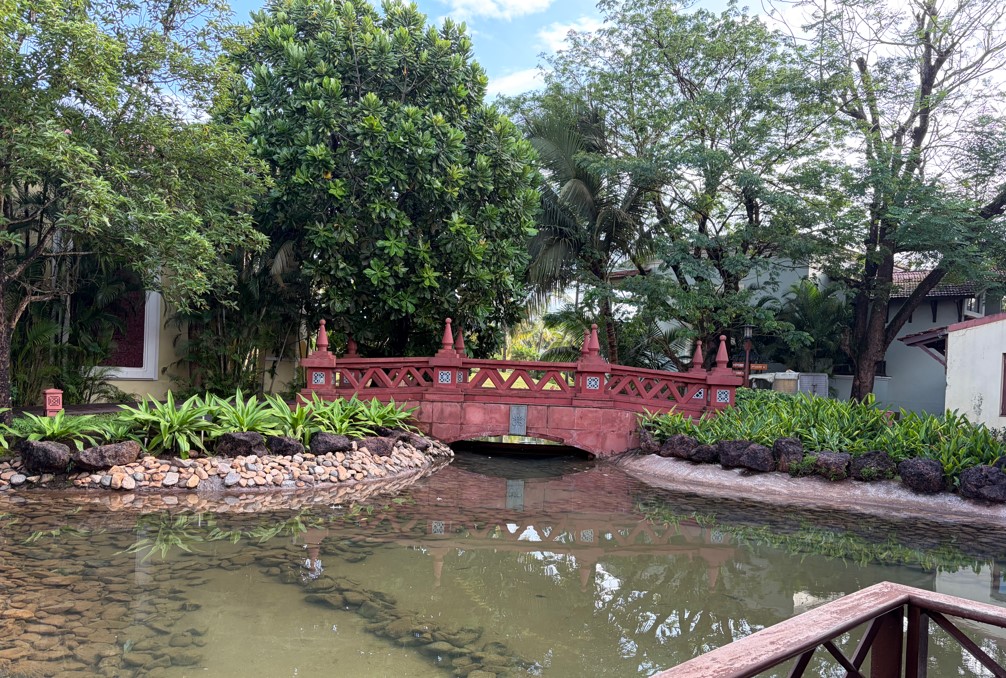 Apple iPhone Air's camera sample.