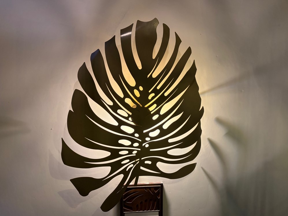 Apple iPhone Air's camera sample.