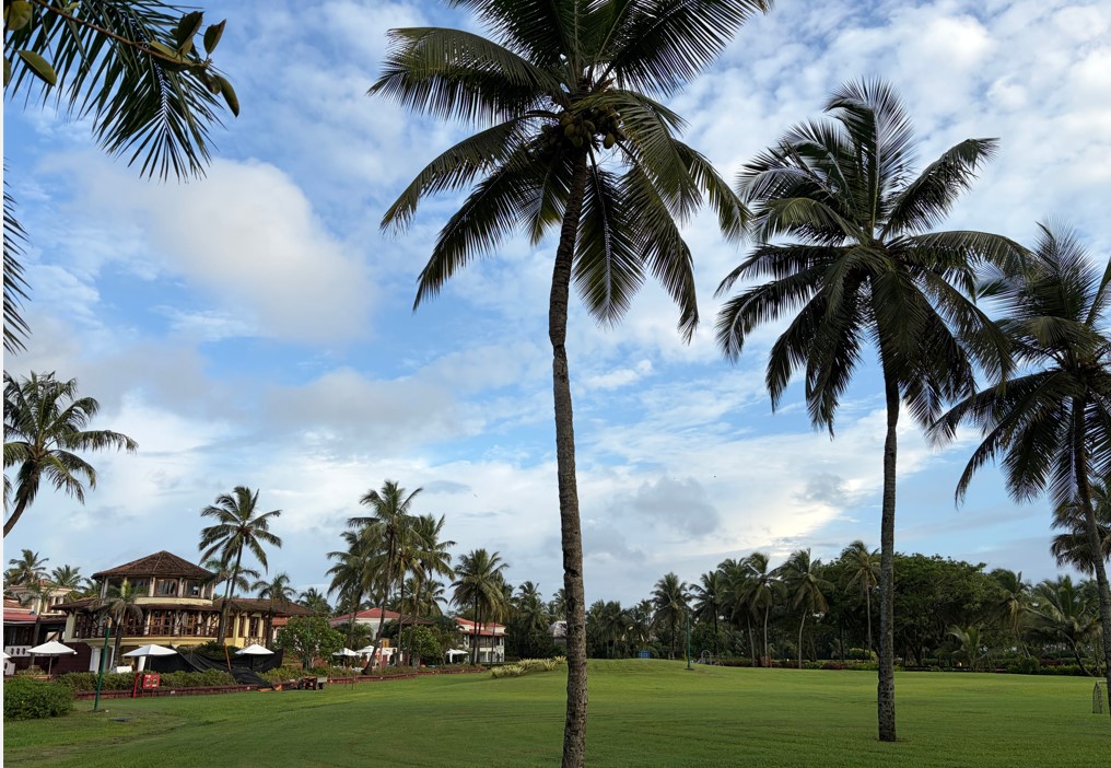 Apple iPhone Air's camera sample.