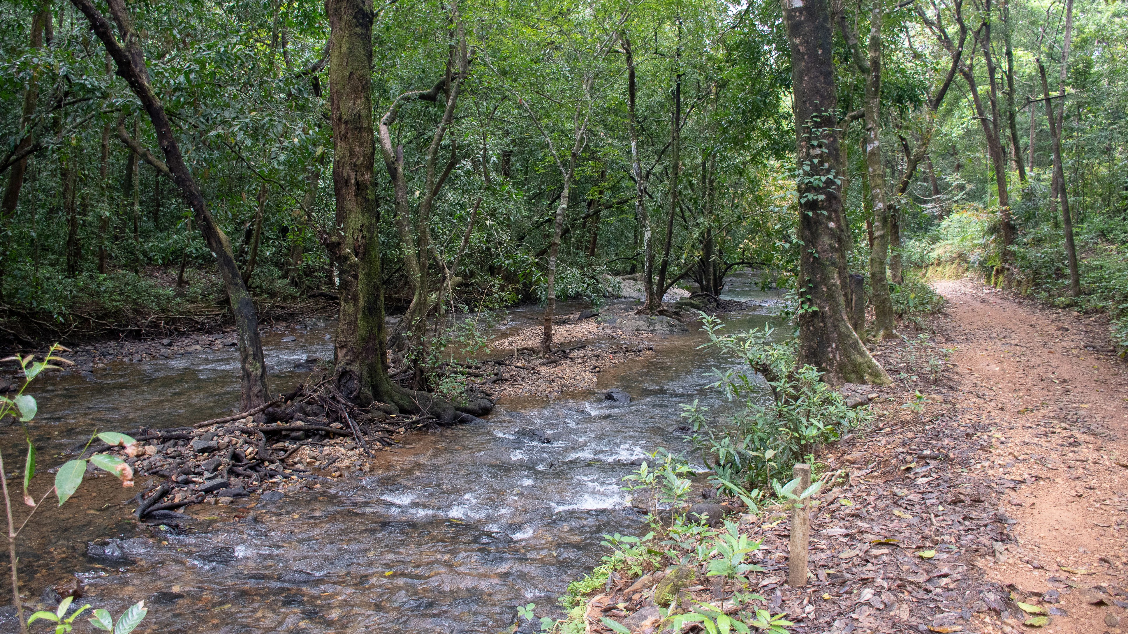 KPCL must return unused 20k acres to Karnataka forest dept: Activists