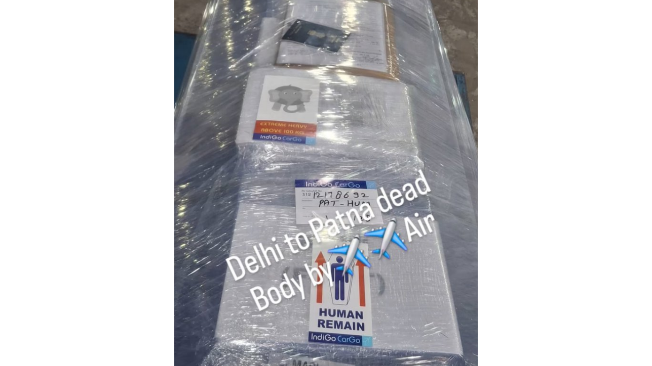 'Extreme heavy, above 100 kg': IndiGo’s elephant sticker on coffin leaves social media divided on privacy and care