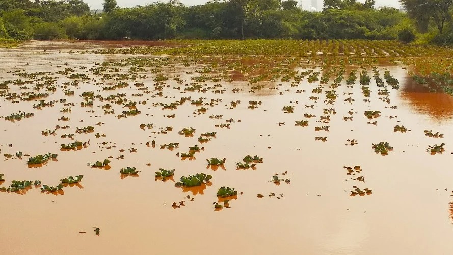 Crop loss: Compensation to farmers in 30 days, says Karnataka minister