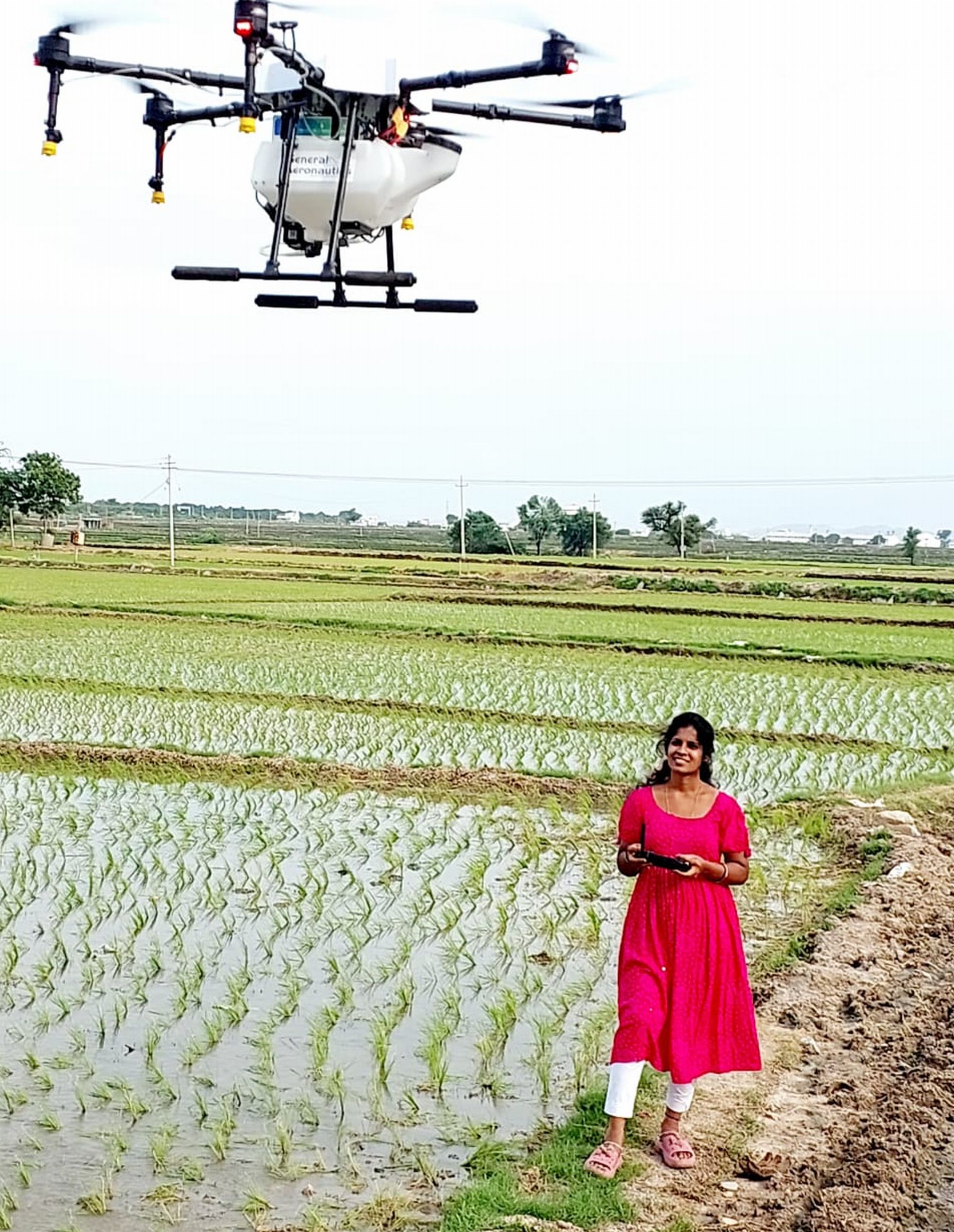 Tulasi Nekkanti handles a drone to spray fertiliser in a paddy field in Koppal district. Photo by author