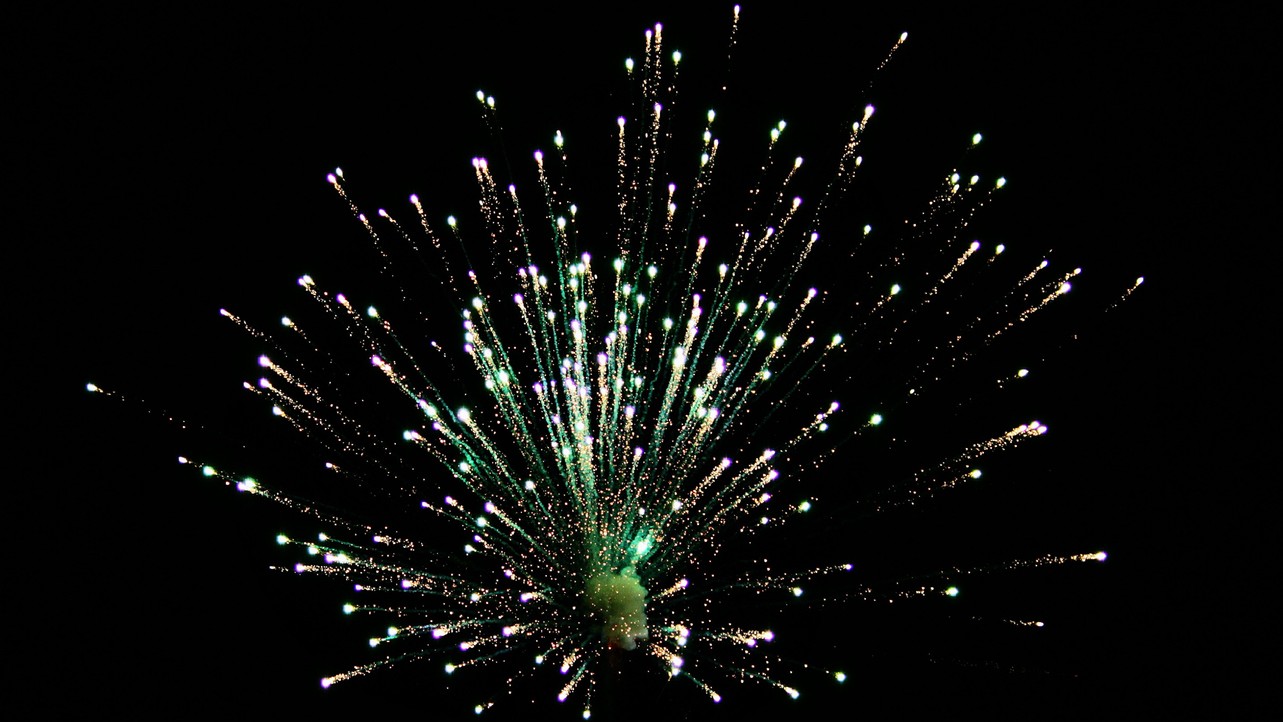 NCR states urges Supreme Court to permit bursting of green crackers