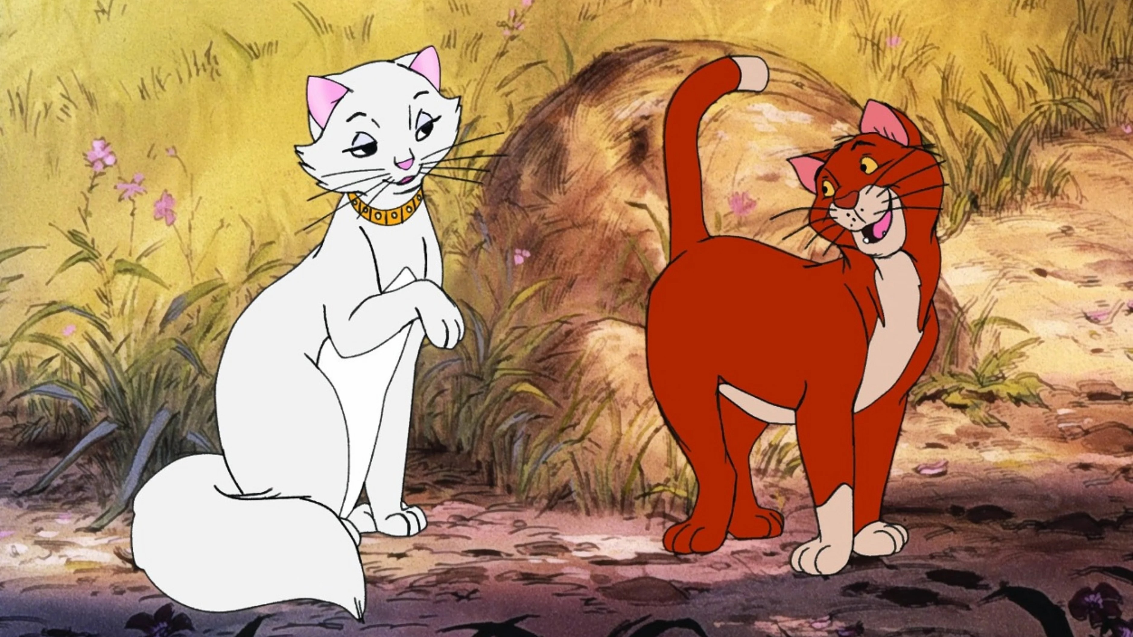 4 animation movies on cats