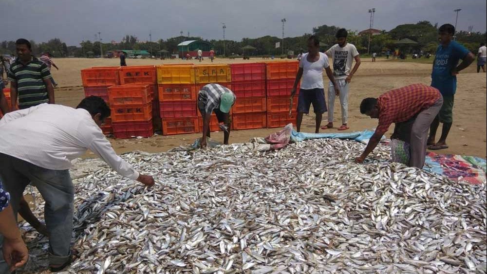 Tamil Nadu fishermen observe strike condemning arrest by Lankan Navy
