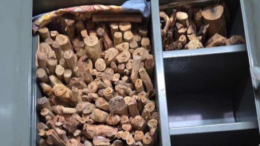 100 kg of sandalwood seized from a house in Karnataka's Hanur