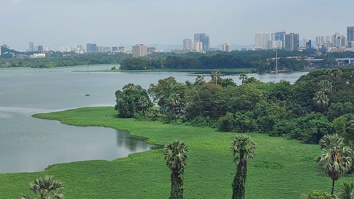 Environmentalists urge PM Modi for Ramsar status for Powai Lake in Mumbai