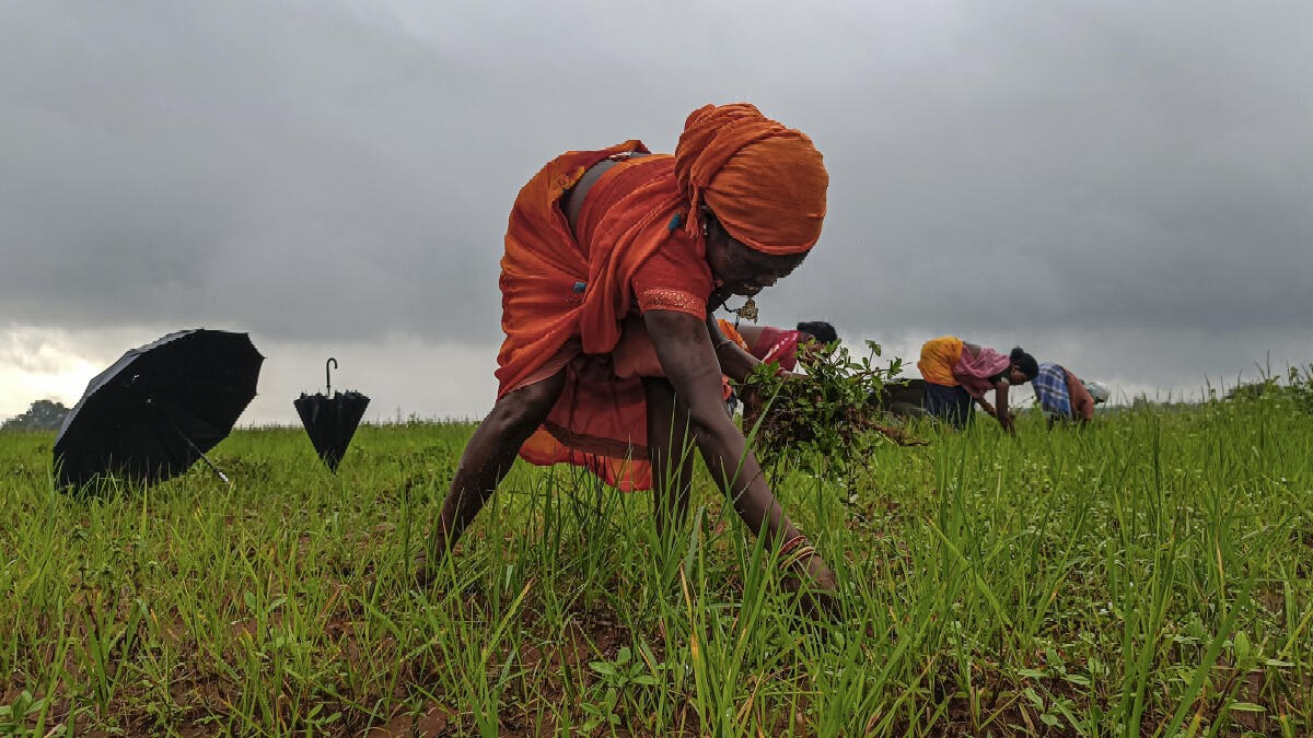 Landless, nameless, essential: The story of India's women farmers 