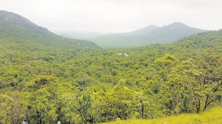 MoEF officials say no to mining in Karnataka's Tumakuru forests