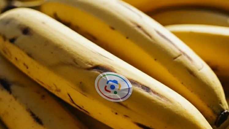 Google to bring new gen AI Nano Banana 2.0 editing tool soon