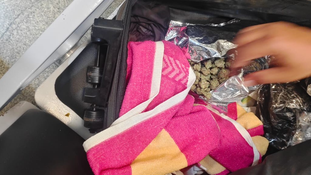 Passenger detained at Mangaluru Airport with 500 gms of Hydroponic Ganja