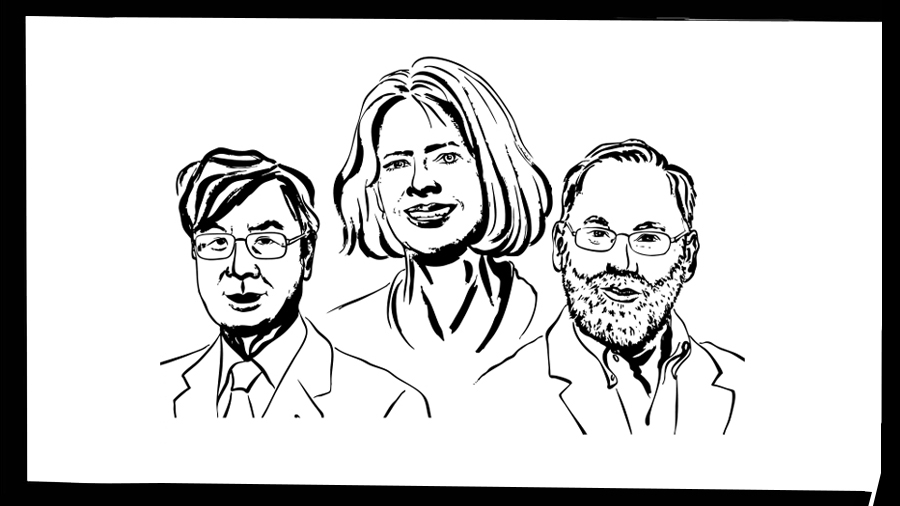 T cells and a breakthrough that reshaped immunology