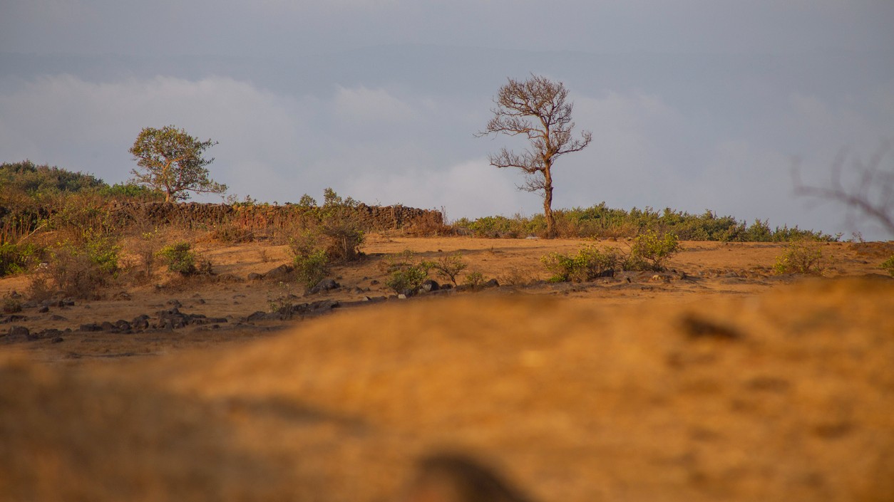 Maharashtra’s wet drought | A state drenched in denial