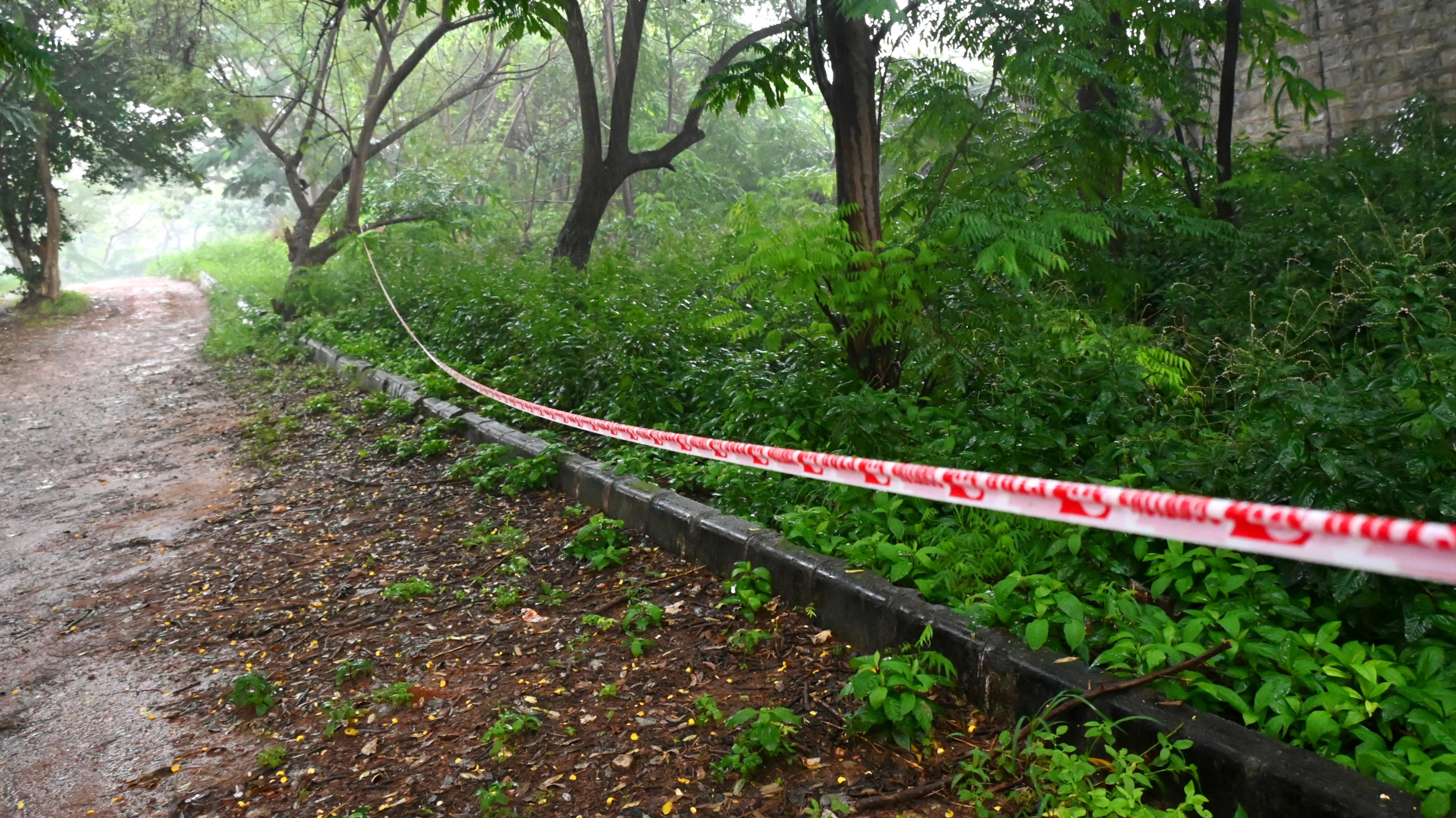 Bengaluru activists call government tunnel project 'ecological and economic disaster', beget #SaveLalBagh campaign