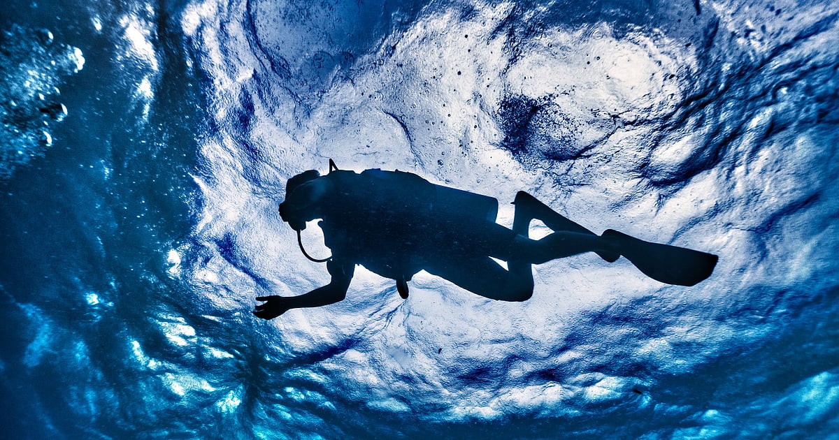 IAF, ICG conduct joint scuba diving expedition