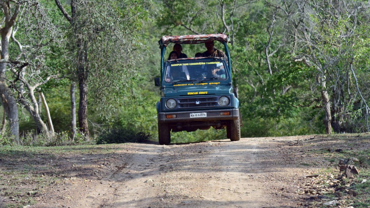 Vehicle seen with drone in Bandipur safari zone belongs to Forest Department, not private: Director