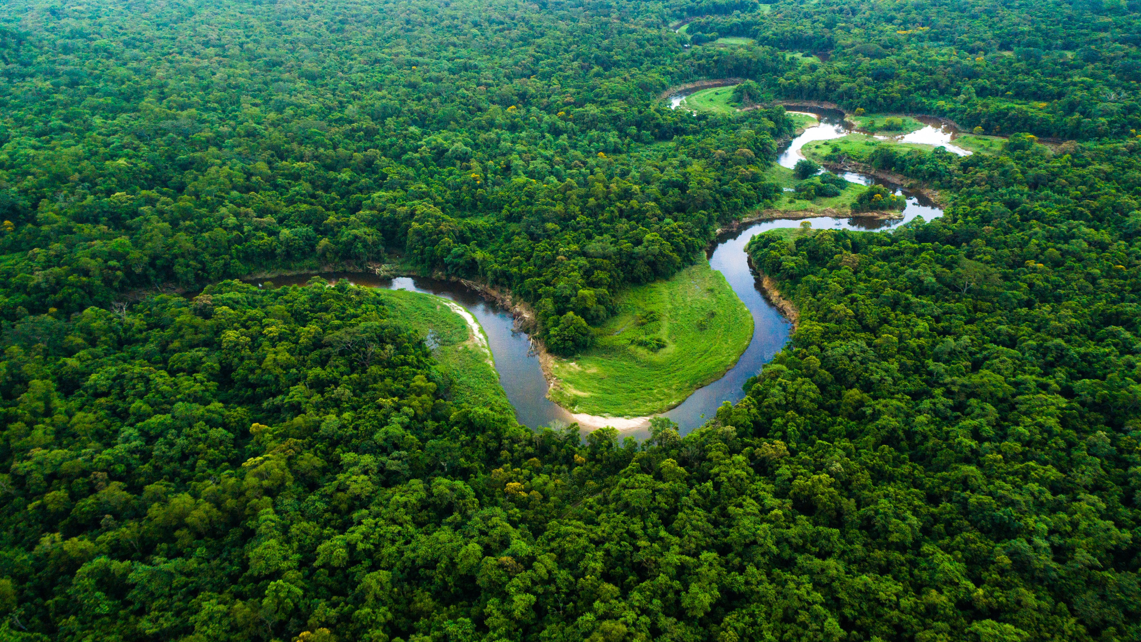 When forests fail as climate cover