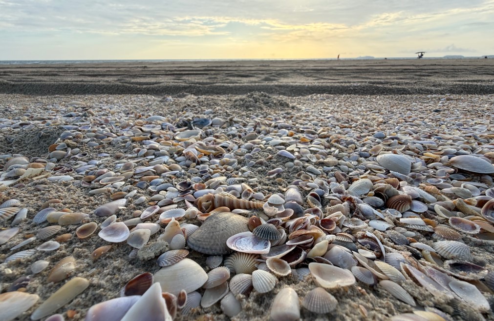 Apple iPhone 17 Pro Max's camera sample.