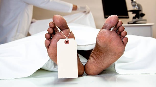 Maharashtra doctor's 'suicide': Autopsy says death due to hanging; family alleges phone tampering