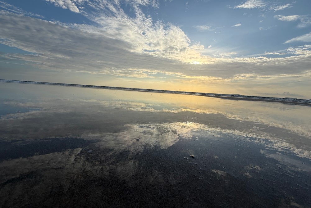 Apple iPhone 17 Pro Max's camera sample.