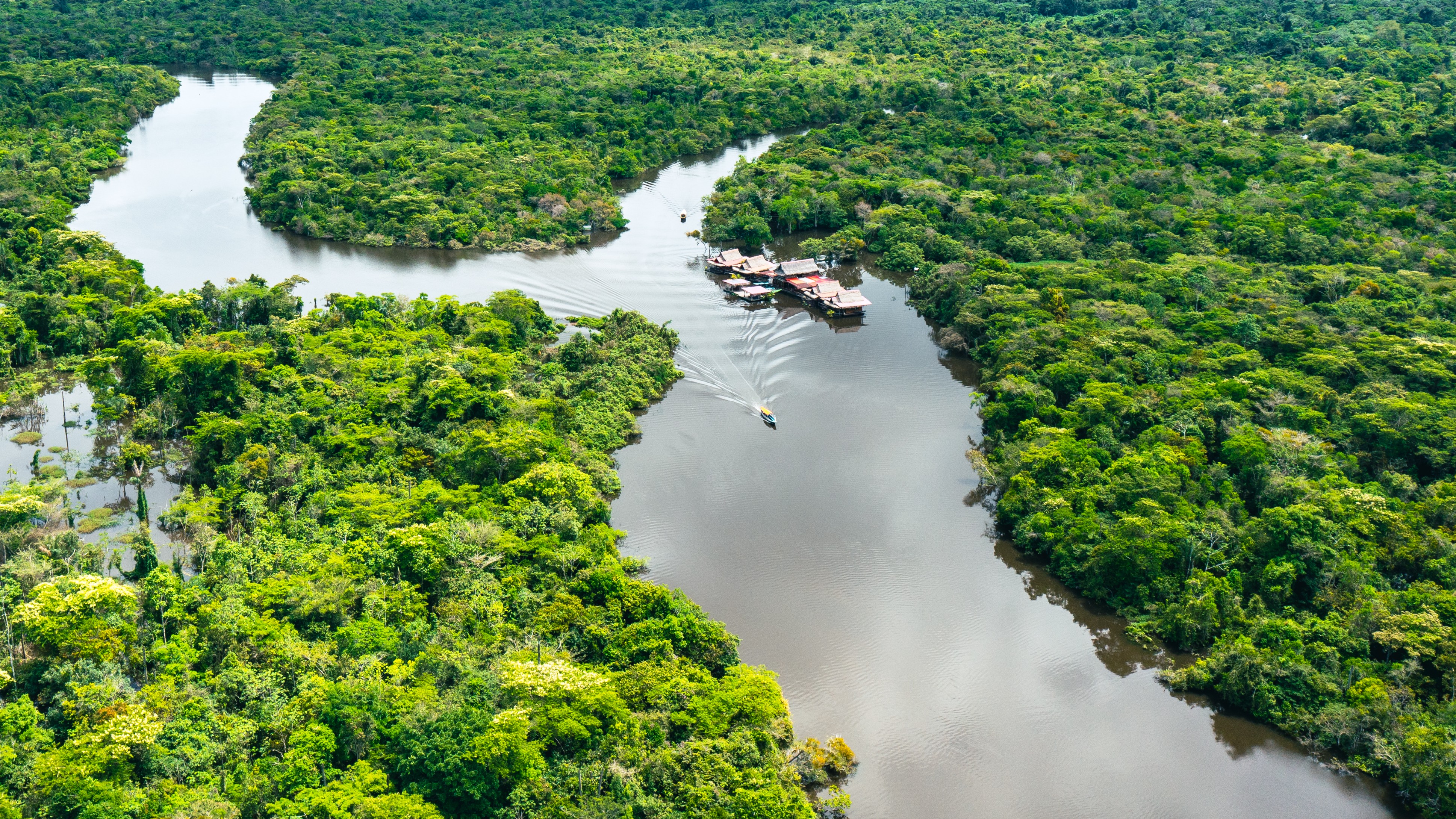 Scientists run climate 'time machine' in Amazon as Brazil preps for COP30