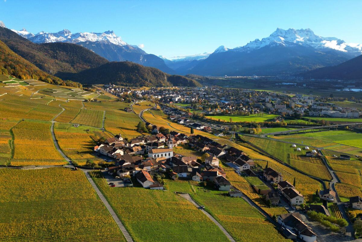 A drone view shows the village of Yvorne surrounded by vineyards, with the Grand Muveran and Dents du Midi mountains in the background, on an autumn afternoon in Yvorne, Switzerland