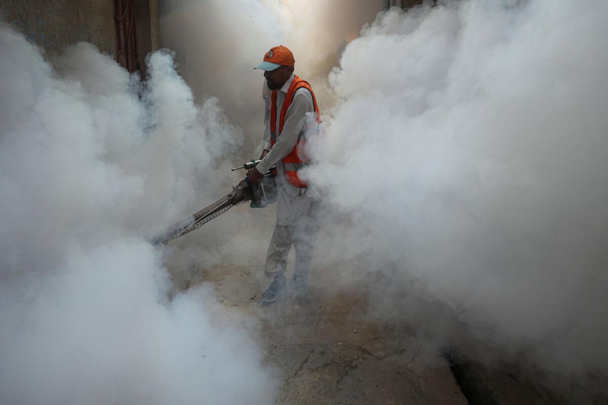 A worker sprays fumigation vapour to stem the spread of dengue virus in Peshawar, Pakistan