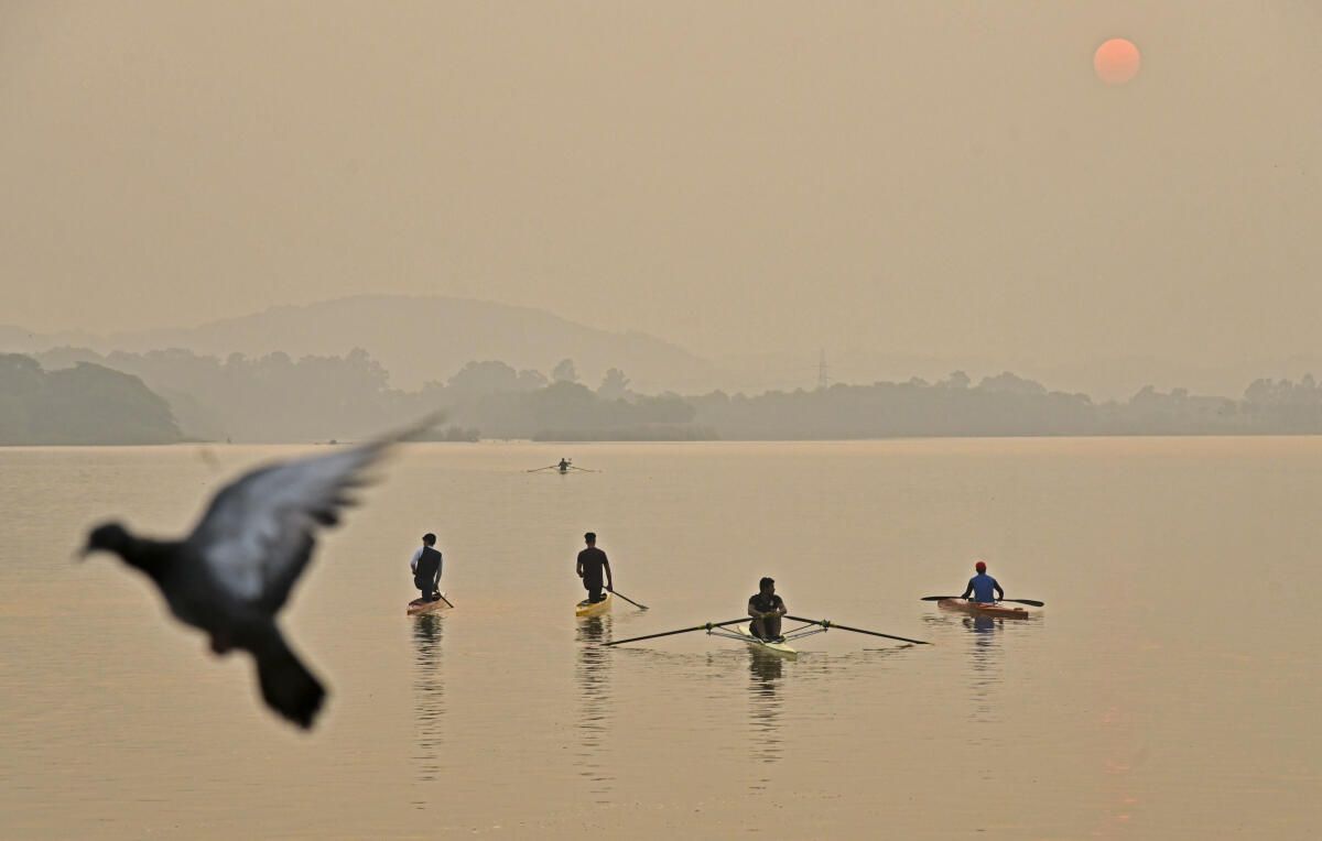 Rowers practice at Sukhna Lake during sunrise, in Chandigarh