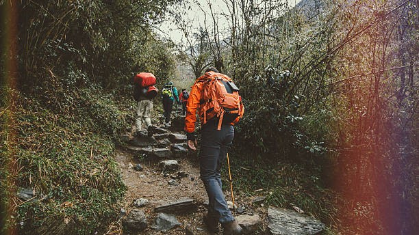 Over 50 and trekking? Experts suggest training, health checks   