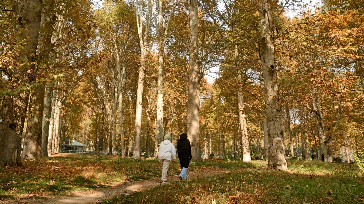 631 non-residents purchase land worth Rs 129 crore in J&K after abrogation of Article 370