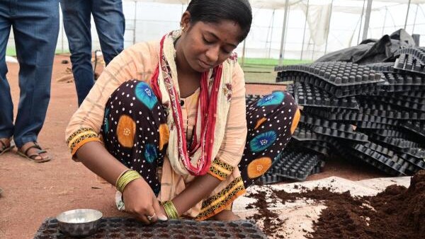 Sowing success, one seed at a time