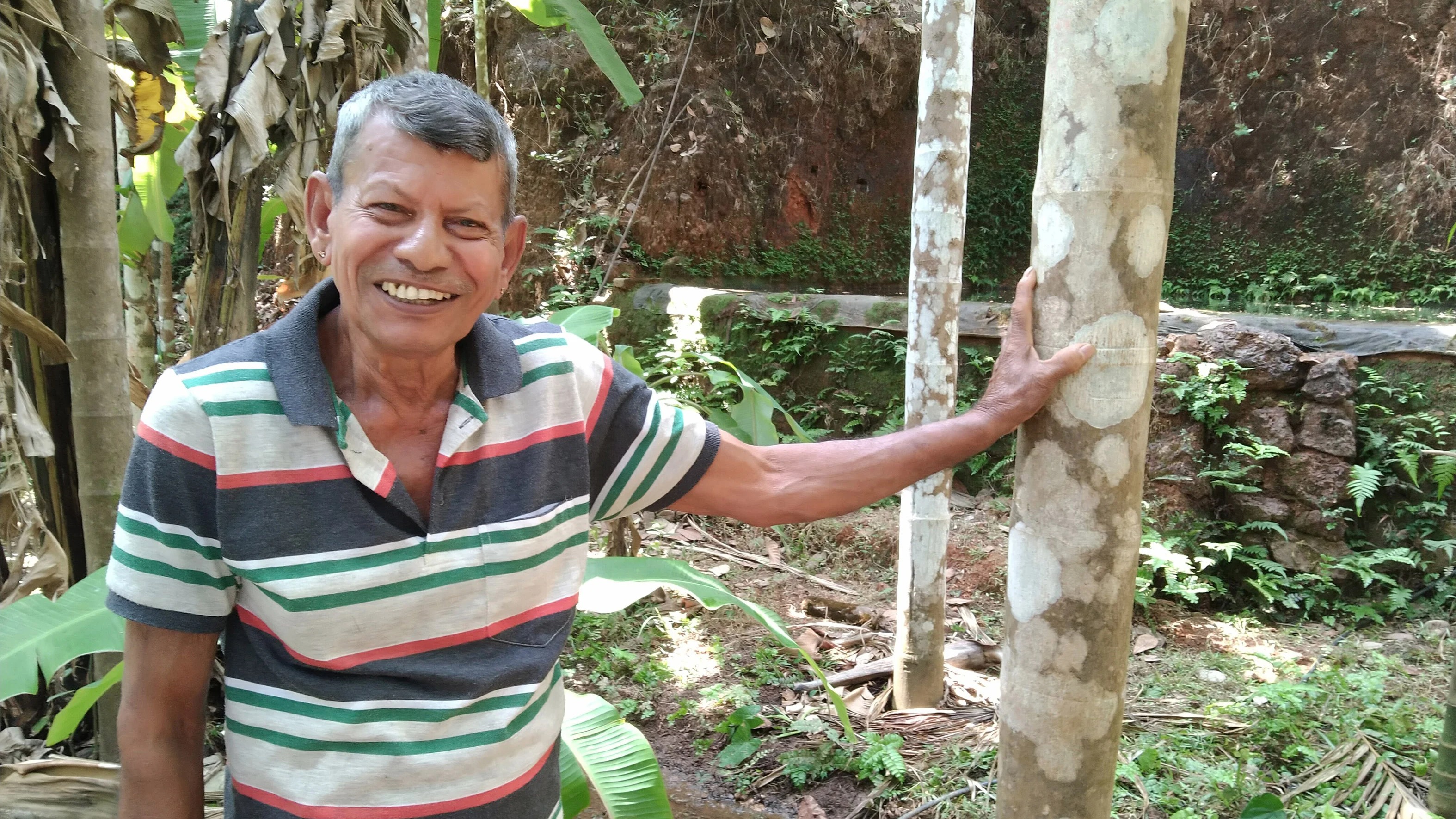 ‘Tunnel Man of Karnataka', pioneers of guava and jackfruit varieties among winners of horticultural awards