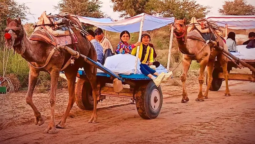 <div class="paragraphs"><p>Credit: Instagram/@maharajas_express</p></div>