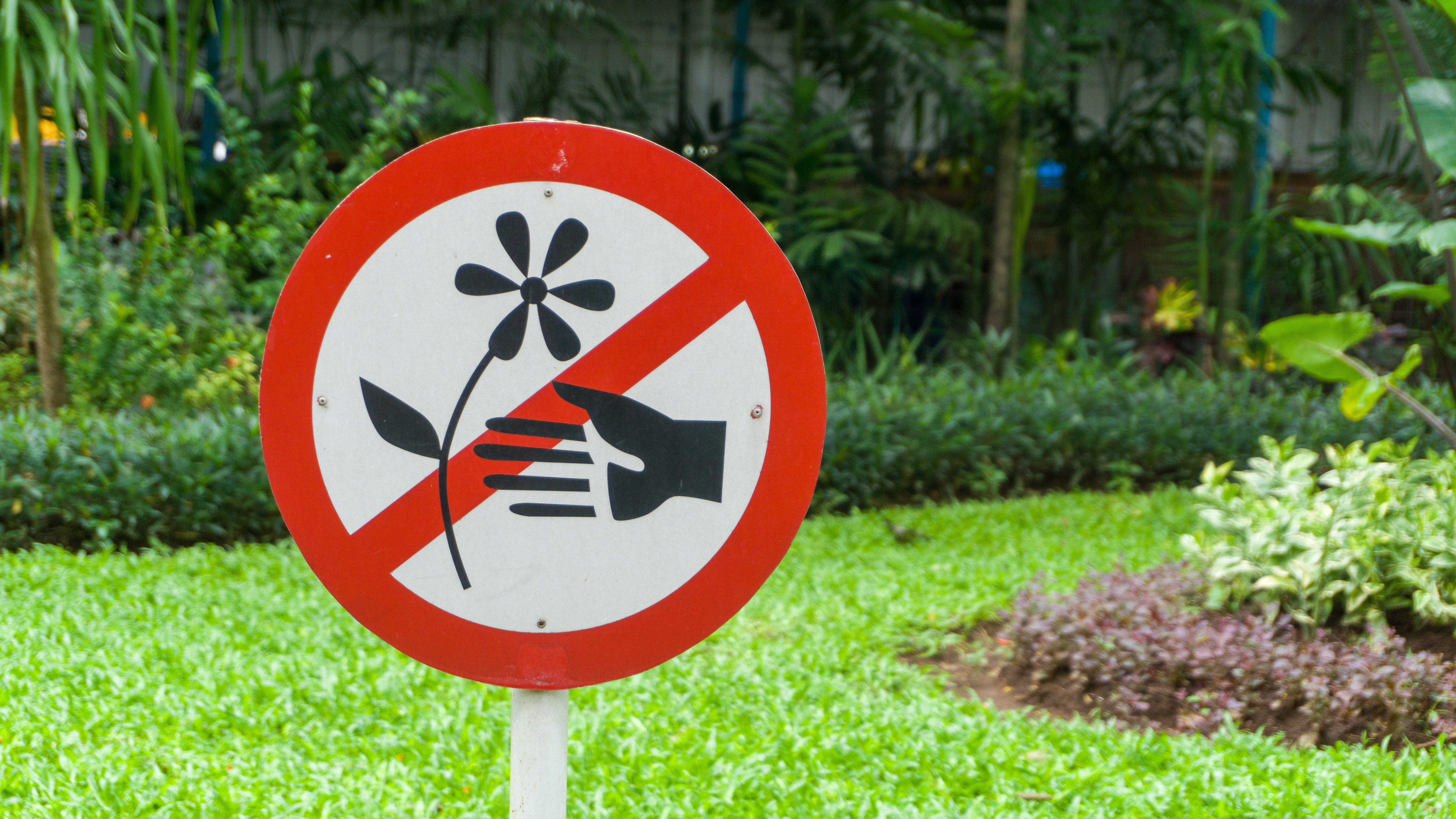 Visiting botanical gardens? Remember these do's and don'ts
