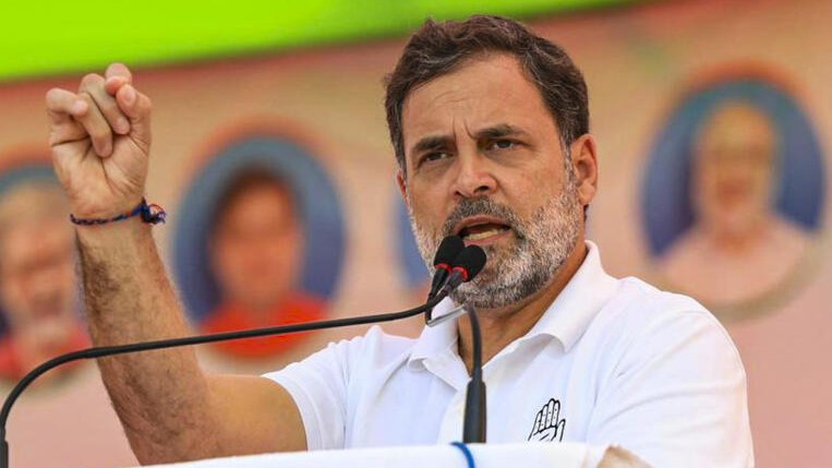 A Brazilian hairdresser wades into India’s politics