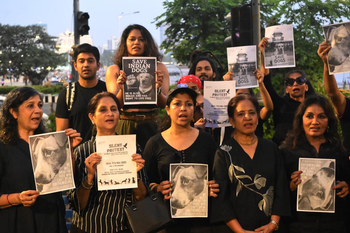 Animal lovers stage a protest against the Supreme Court order directing authorities to remove stray dogs from institutional areas such as schools, hospitals, railway stations and bus stands, and shift them to designated shelters, in Mumbai.Credit: PTI
