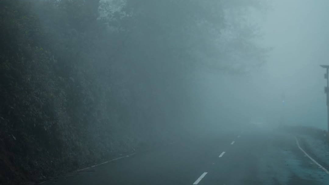 <div class="paragraphs"><p>Credit: Instagram/@ji.th1n</p></div>