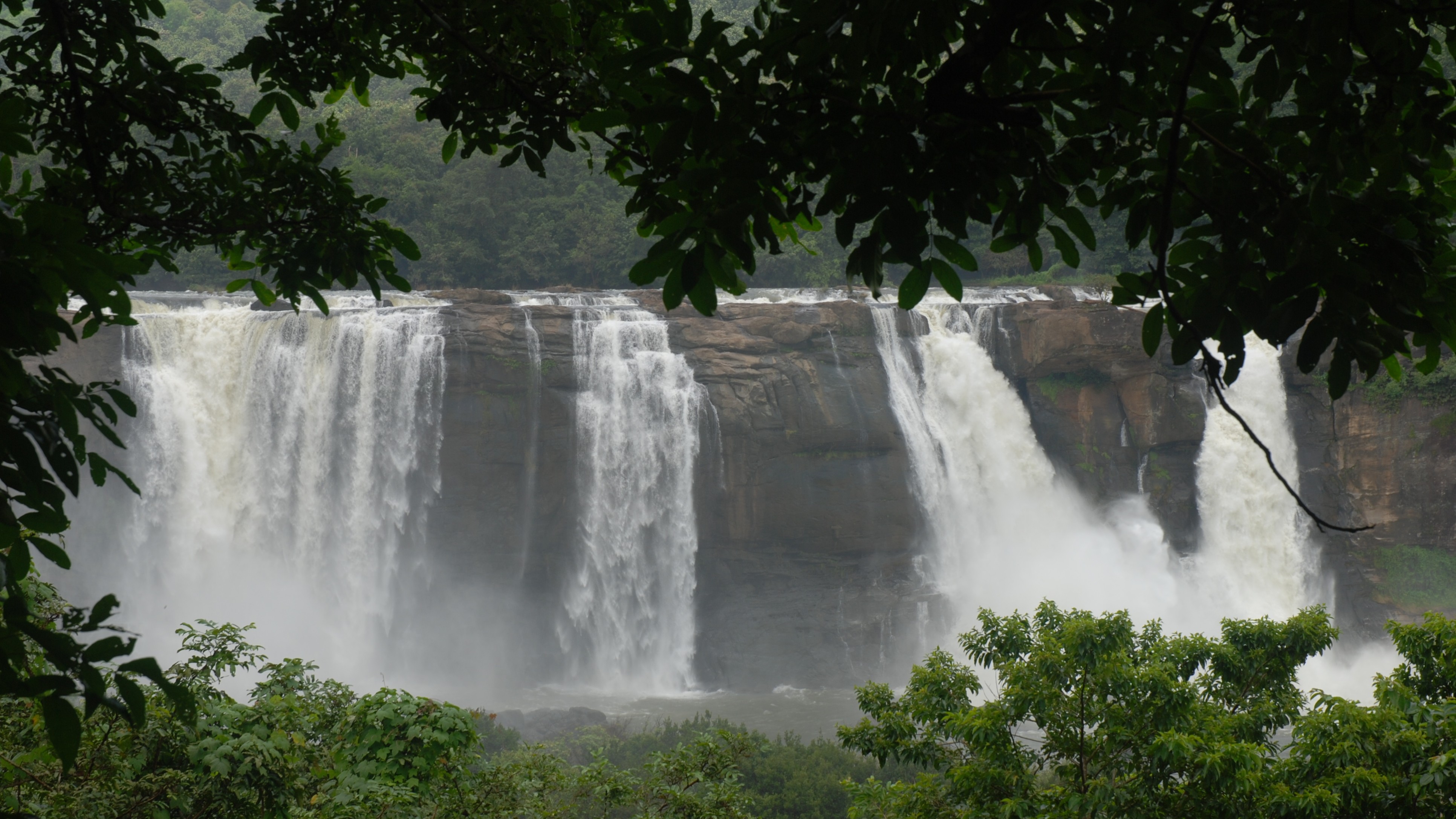 <div class="paragraphs"><p>Credit: DH Pool Photo</p></div>