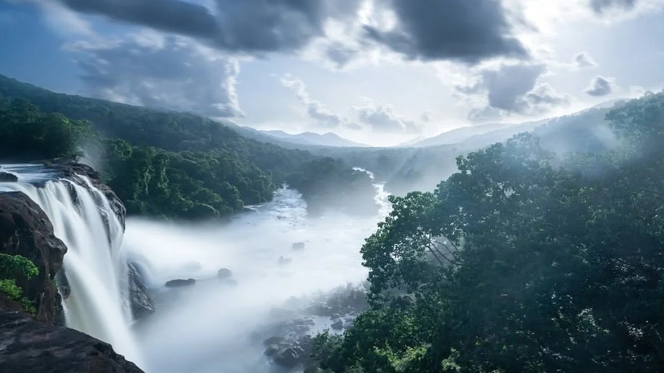 <div class="paragraphs"><p>Credit: Instagram/@asims_gallery</p></div>