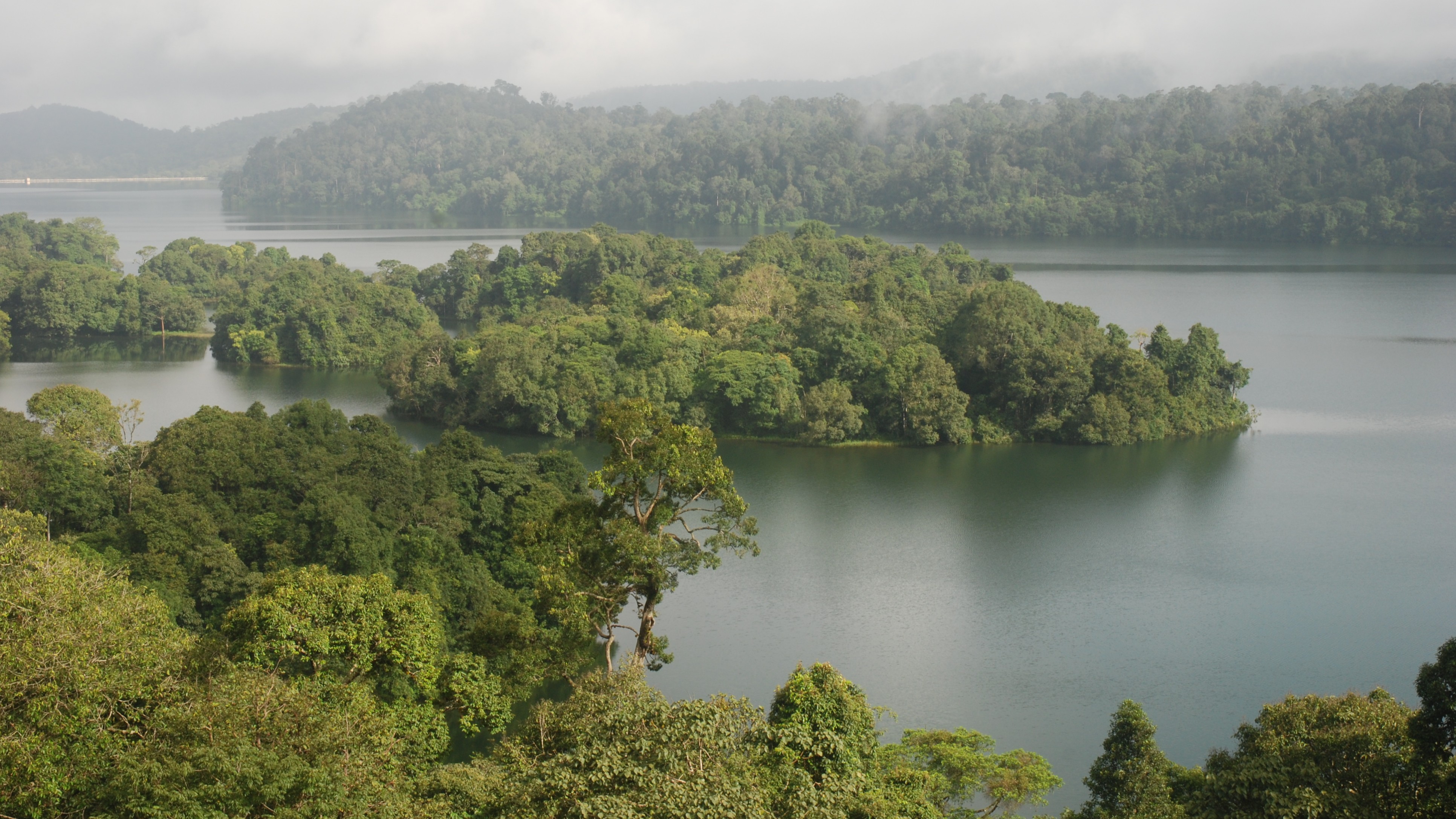 <div class="paragraphs"><p>Credit: DH Pool Photo</p></div>