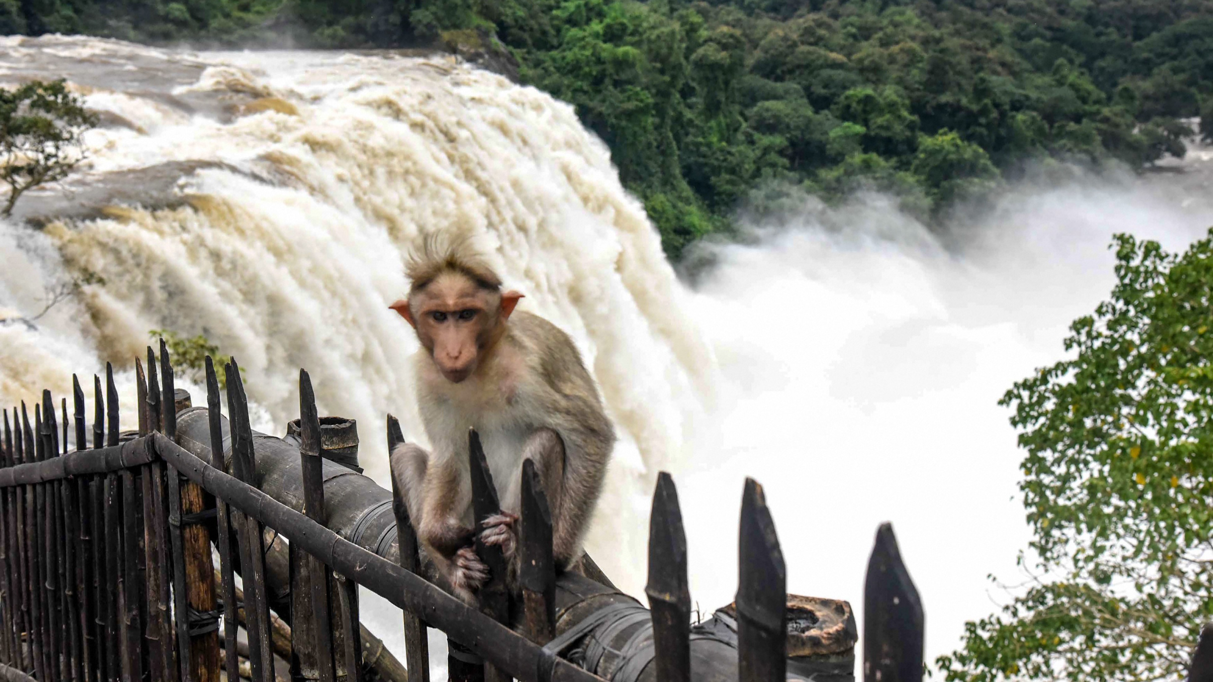 <div class="paragraphs"><p>Credit: PTI</p></div>