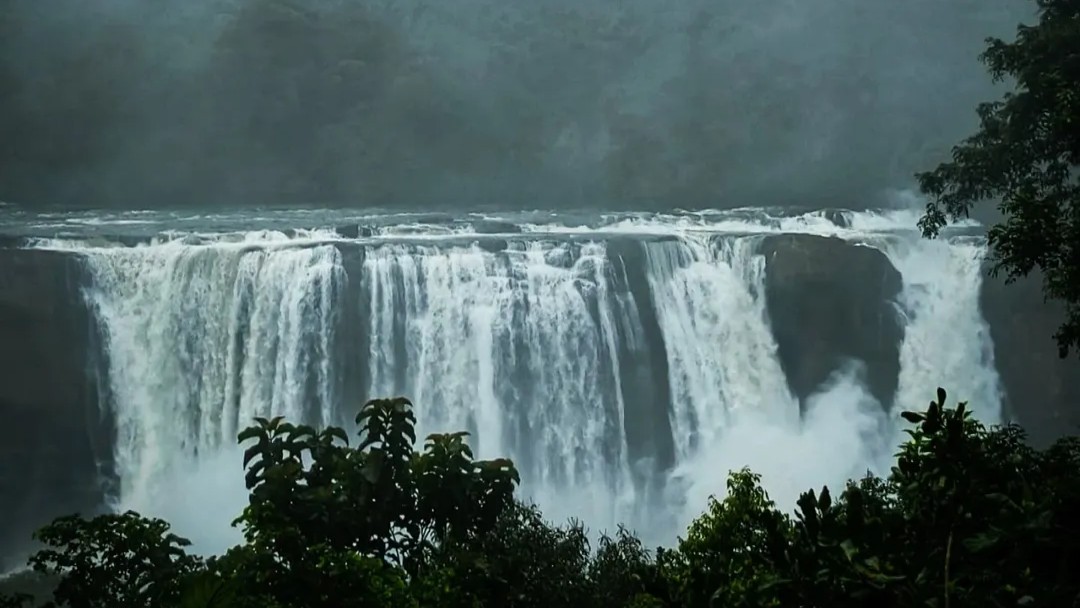 <div class="paragraphs"><p>Credit: Instagram/@bharathan_chandrasekaran</p></div>