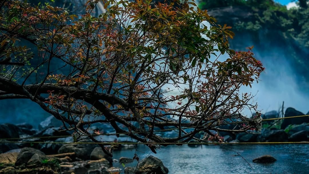 <div class="paragraphs"><p>Credit: Instagram/@frinto_tf</p></div>